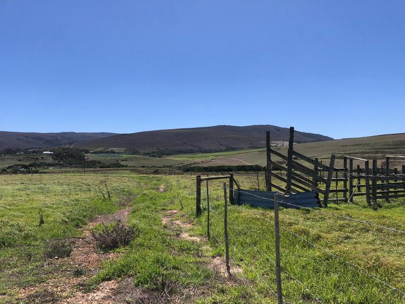 0 Bedroom Property for Sale in Baardskeerdersbos Western Cape